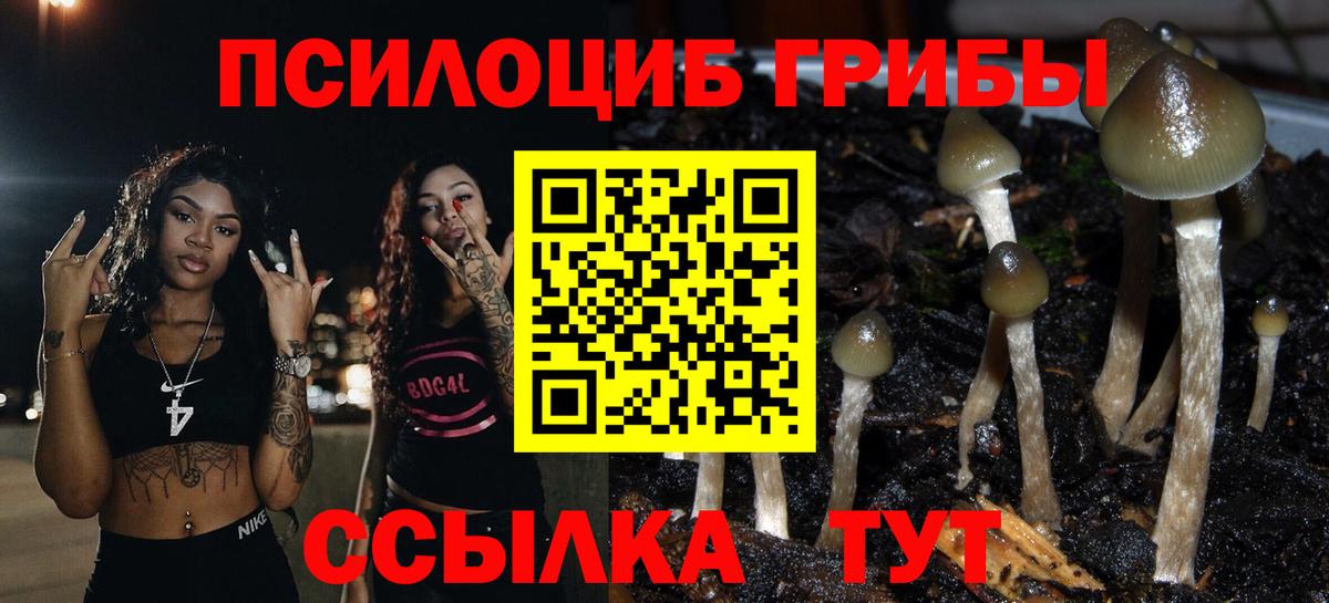 как найти закладки  Вход с VPN  Кувандык  Галлюциногенные грибы Psilocybe 