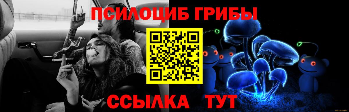 Галлюциногенные грибы Cubensis Кувандык